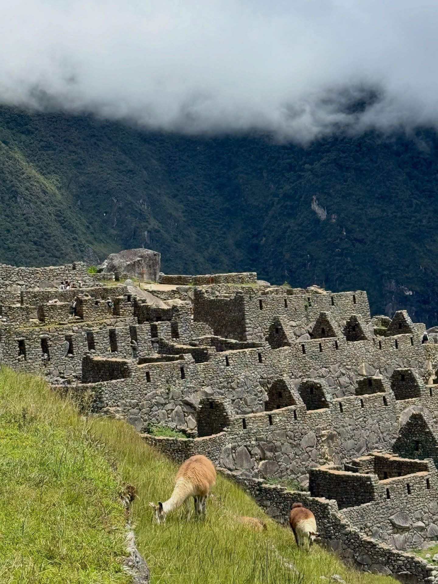Vy över Machu Picchu